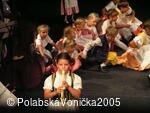 Folklorní festival Polabská Vonička